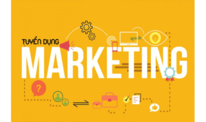 Marketing gồm những công việc gì? Toàn bộ kiến thức từ A–Z cho người mới